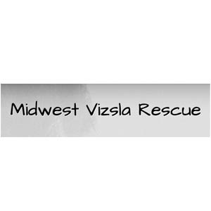 Midwest Vizsla Rescue