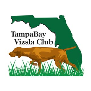 Tampa Bay Vizsla Rescue
