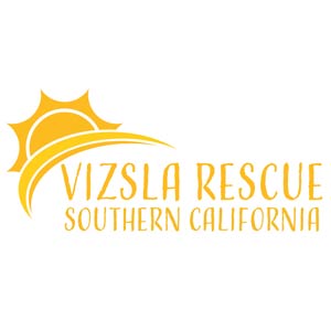 Vizsla Rescue Southern California