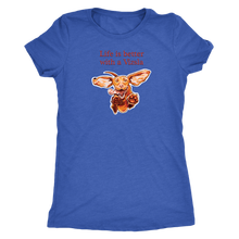 Load image into Gallery viewer, Life is better with a Vizsla - Womens Triblend T-shirt for Hungarian Vizsla dog lovers