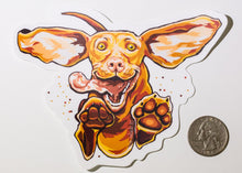 Load image into Gallery viewer, hungarian vizsla dog decal sticker