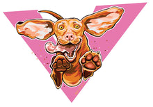 Load image into Gallery viewer, Happy playing and jumping Hungarian Vizsla dog sticker original artwork unique decal pink
