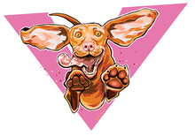 Load image into Gallery viewer, Happy playing and jumping Hungarian Vizsla dog sticker original artwork unique decal pink