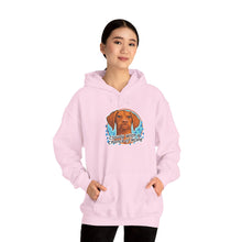 Load image into Gallery viewer, 'Cloudy With A Chance Of NOPE'  Vizsla Dog Portrait Hoodie
