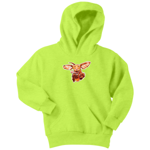 Super Vizsla Youth Hoodie