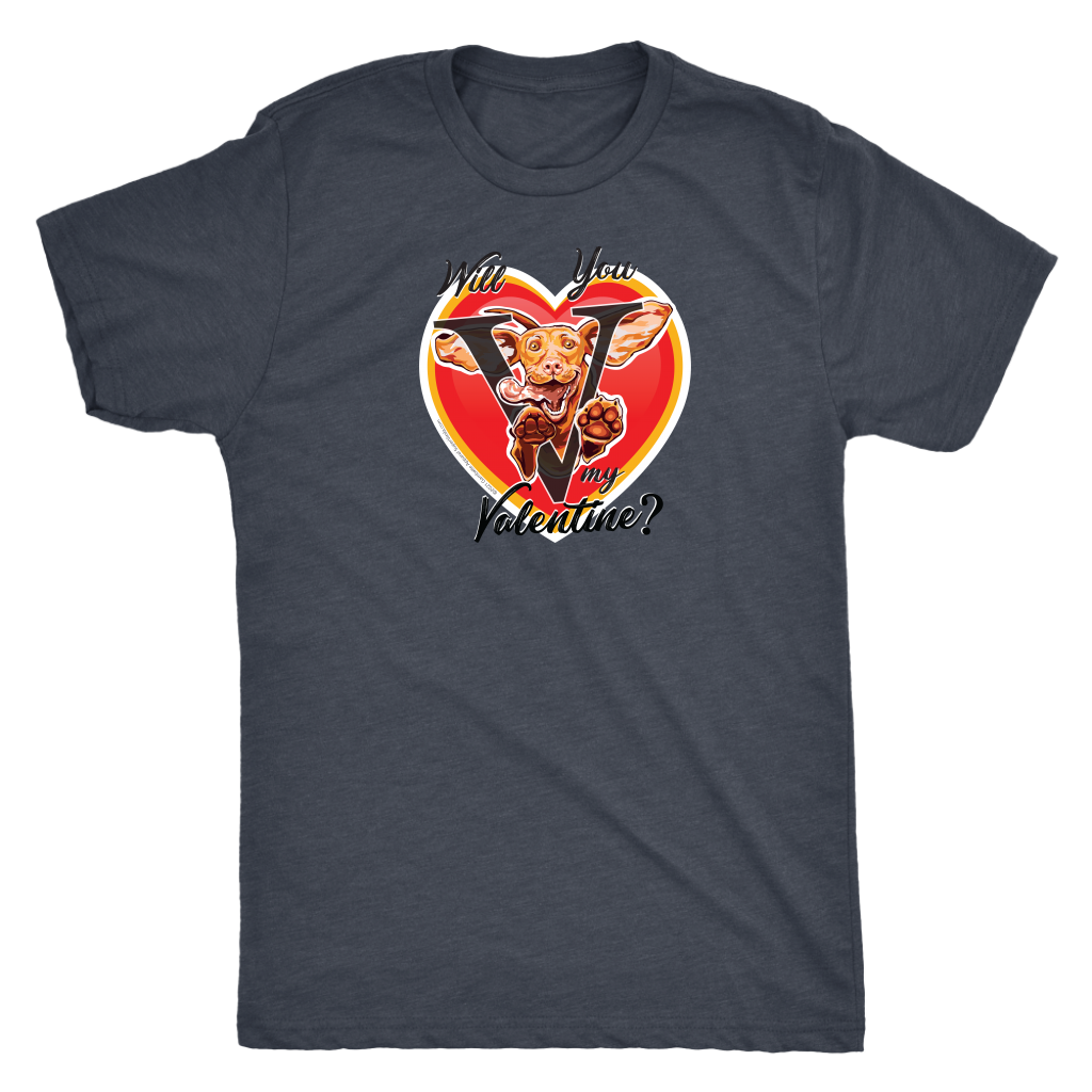 Will You V My Valentine? Super Vizsla Men's Triblend