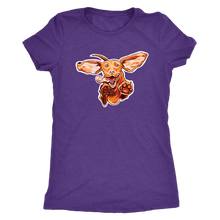 Load image into Gallery viewer, Original Super Vizsla - Womens Triblend Shirt
