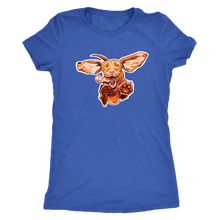 Load image into Gallery viewer, Original Super Vizsla - Womens Triblend Shirt
