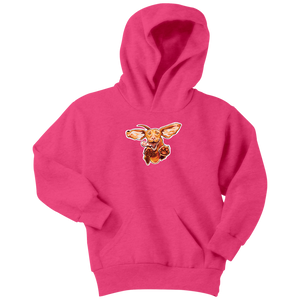 Super Vizsla Youth Hoodie