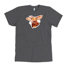 Load image into Gallery viewer, front view of a  men&#39;s grey t-shirt featuring the original Super Vizsla design 
