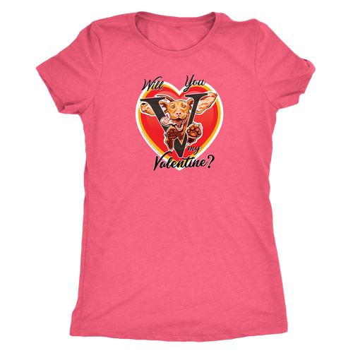 Will you V my Valentine? Women's shirt by super vizsla