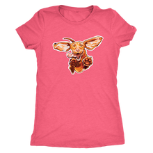 Load image into Gallery viewer, Original Super Vizsla - Womens Triblend Shirt
