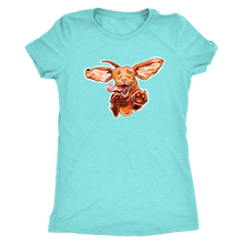 Load image into Gallery viewer, Original Super Vizsla - Womens Triblend Shirt
