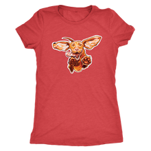 Load image into Gallery viewer, Original Super Vizsla - Womens Triblend Shirt
