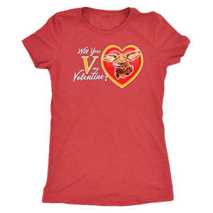 Will You V My Valentine?  Women's Triblend Shirt