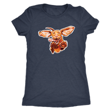 Load image into Gallery viewer, Original Super Vizsla - Womens Triblend Shirt
